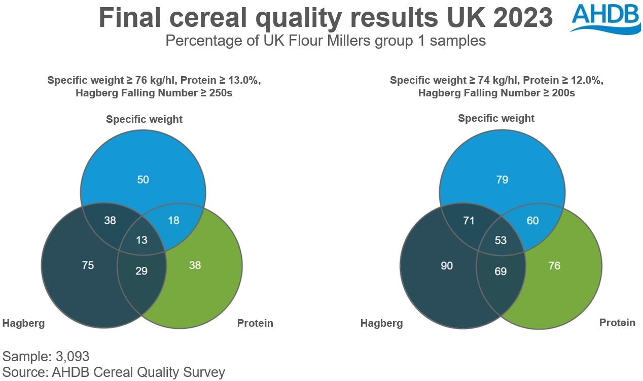 Diagram of the results of the Cereal Quality Survey 2023 for group 1 wheat samples